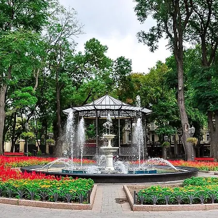 Langery * Odessa